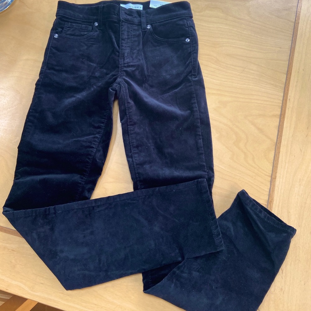 Ann Taylor Loft velvet pant